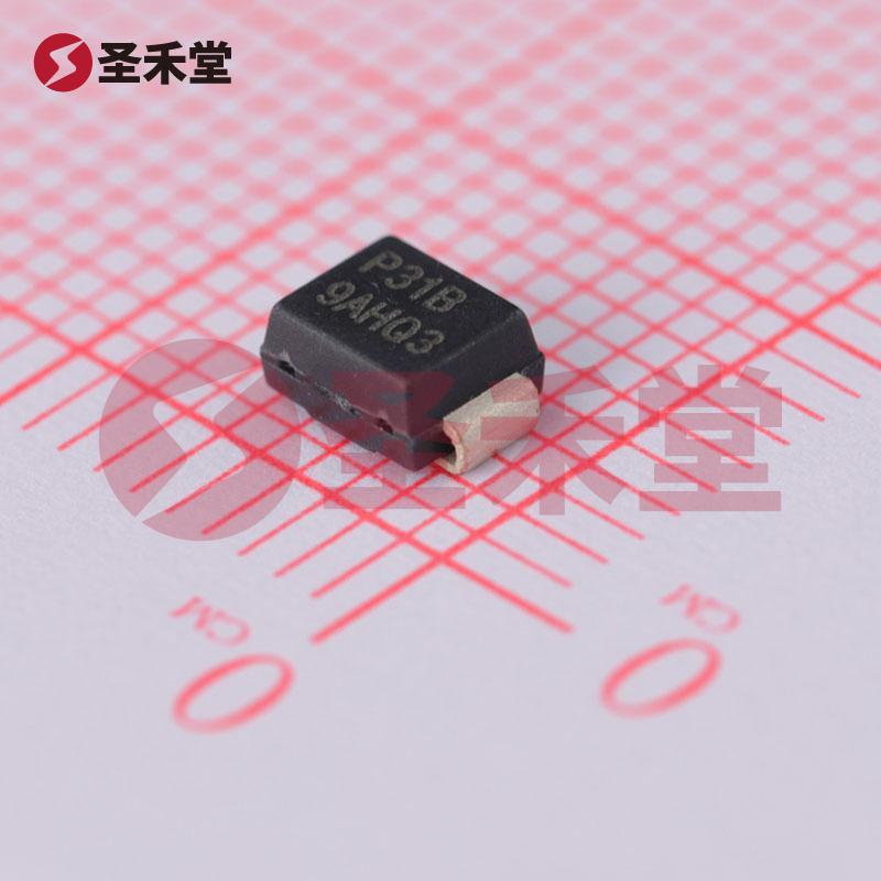 P3100SBLRP 产品实物图片