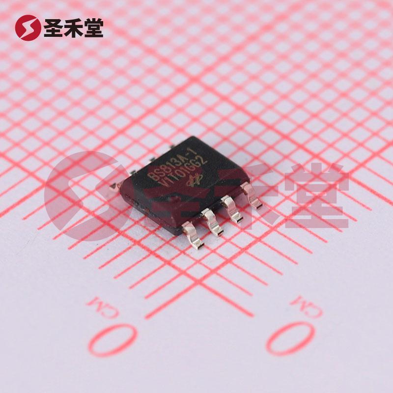 BS813A-1 产品实物图片