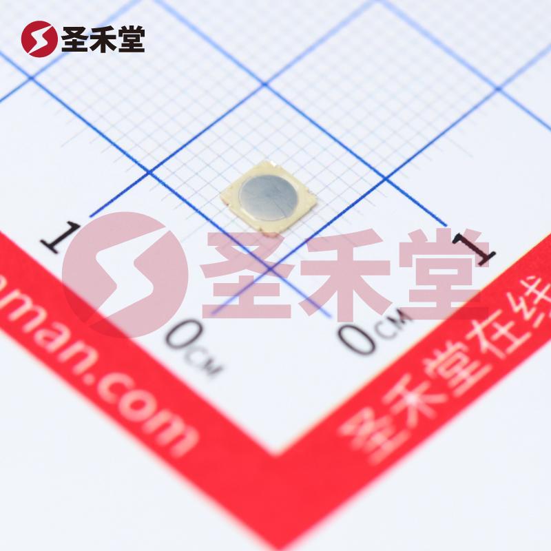 SKRMABE010 产品实物图片