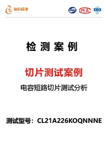 切片测试案例
