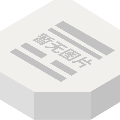GP300SCH-2 产品实物图片